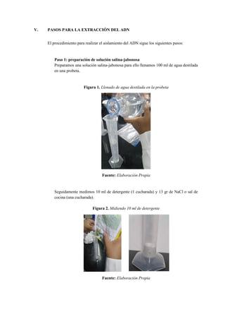V. PASOS PARA LA EXTRACCIÓN DEL ADN
El procedimiento para realizar el aislamiento del ADN sigue los siguientes pasos:
Paso 1: preparación de solución salina-jabonosa
Preparamos una solución salina-jabonosa para ello llenamos 100 ml de agua destilada
en una probeta.
Figura 1. Llenado de agua destilada en la probeta
Fuente: Elaboración Propia
Seguidamente medimos 10 ml de detergente (1 cucharada) y 13 gr de NaCl o sal de
cocina (una cucharada).
Figura 2. Midiendo 10 ml de detergente
Fuente: Elaboración Propia
 
