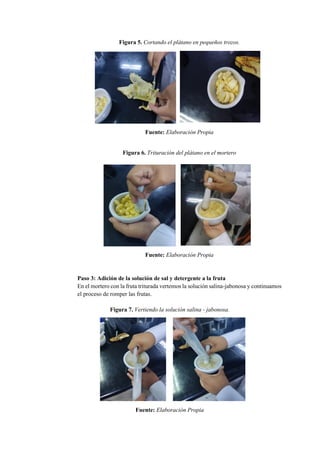 Figura 5. Cortando el plátano en pequeños trozos.
Fuente: Elaboración Propia
Figura 6. Trituración del plátano en el mortero
Fuente: Elaboración Propia
Paso 3: Adición de la solución de sal y detergente a la fruta
En el mortero con la fruta triturada vertemos la solución salina-jabonosa y continuamos
el proceso de romper las frutas.
Figura 7. Vertiendo la solución salina - jabonosa.
Fuente: Elaboración Propia
 