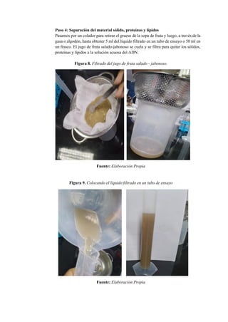 Paso 4: Separación del material sólido, proteínas y lípidos
Pasamos por un colador para retirar el grueso de la sopa de fruta y luego, a través de la
gasa o algodón, hasta obtener 5 ml del líquido filtrado en un tubo de ensayo o 50 ml en
un frasco. El jugo de fruta salado-jabonoso se cuela y se filtra para quitar los sólidos,
proteínas y lípidos a la solución acuosa del ADN.
Figura 8. Filtrado del jugo de fruta salado - jabonoso.
Fuente: Elaboración Propia
Figura 9. Colocando el líquido filtrado en un tubo de ensayo
Fuente: Elaboración Propia
 