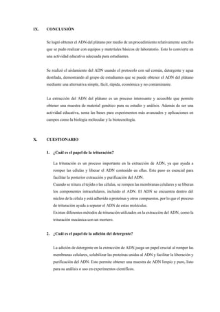 IX. CONCLUSIÓN
Se logró obtener el ADN del plátano por medio de un procedimiento relativamente sencillo
que se pudo realizar con equipos y materiales básicos de laboratorio. Esto lo convierte en
una actividad educativa adecuada para estudiantes.
Se realizó el aislamiento del ADN usando el protocolo con sal común, detergente y agua
destilada, demostrando al grupo de estudiantes que se puede obtener el ADN del plátano
mediante una alternativa simple, fácil, rápida, económica y no contaminante.
La extracción del ADN del plátano es un proceso interesante y accesible que permite
obtener una muestra de material genético para su estudio y análisis. Además de ser una
actividad educativa, senta las bases para experimentos más avanzados y aplicaciones en
campos como la biología molecular y la biotecnología.
X. CUESTIONARIO
1. ¿Cuál es el papel de la trituración?
La trituración es un proceso importante en la extracción de ADN, ya que ayuda a
romper las células y liberar el ADN contenido en ellas. Este paso es esencial para
facilitar la posterior extracción y purificación del ADN.
Cuando se tritura el tejido o las células, se rompen las membranas celulares y se liberan
los componentes intracelulares, incluido el ADN. El ADN se encuentra dentro del
núcleo de la célula y está adherido a proteínas y otros compuestos, por lo que el proceso
de trituración ayuda a separar el ADN de estas moléculas.
Existen diferentes métodos de trituración utilizados en la extracción del ADN, como la
trituración mecánica con un mortero.
2. ¿Cuál es el papel de la adición del detergente?
La adición de detergente en la extracción de ADN juega un papel crucial al romper las
membranas celulares, solubilizar las proteínas unidas al ADN y facilitar la liberación y
purificación del ADN. Esto permite obtener una muestra de ADN limpio y puro, listo
para su análisis o uso en experimentos científicos.
 