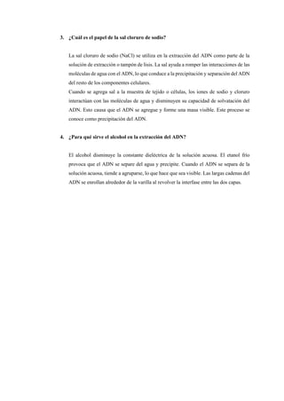3. ¿Cuál es el papel de la sal cloruro de sodio?
La sal cloruro de sodio (NaCl) se utiliza en la extracción del ADN como parte de la
solución de extracción o tampón de lisis. La sal ayuda a romper las interacciones de las
moléculas de agua con el ADN, lo que conduce a la precipitación y separación del ADN
del resto de los componentes celulares.
Cuando se agrega sal a la muestra de tejido o células, los iones de sodio y cloruro
interactúan con las moléculas de agua y disminuyen su capacidad de solvatación del
ADN. Esto causa que el ADN se agregue y forme una masa visible. Este proceso se
conoce como precipitación del ADN.
4. ¿Para qué sirve el alcohol en la extracción del ADN?
El alcohol disminuye la constante dieléctrica de la solución acuosa. El etanol frío
provoca que el ADN se separe del agua y precipite. Cuando el ADN se separa de la
solución acuosa, tiende a agruparse, lo que hace que sea visible. Las largas cadenas del
ADN se enrollan alrededor de la varilla al revolver la interfase entre las dos capas.
 