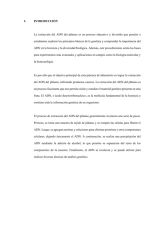 I. INTRODUCCIÓN
La extracción del ADN del plátano es un proceso educativo y divertido que permite a
estudiantes explorar los principios básicos de la genética y comprender la importancia del
ADN en la herencia y la diversidad biológica. Además, este procedimiento sienta las bases
para experimentos más avanzados y aplicaciones en campos como la biología molecular y
la biotecnología.
Es por ello que el objetivo principal de esta práctica de laboratorio es lograr la extracción
del ADN del plátano, utilizando productos caseros. La extracción del ADN del plátano es
un proceso fascinante que nos permite aislar y estudiar el material genético presente en esta
fruta. El ADN, o ácido desoxirribonucleico, es la molécula fundamental de la herencia y
contiene toda la información genética de un organismo.
El proceso de extracción del ADN del plátano generalmente involucra una serie de pasos.
Primero, se toma una muestra de tejido de plátano y se rompen las células para liberar el
ADN. Luego, se agregan enzimas y soluciones para eliminar proteínas y otros componentes
celulares, dejando únicamente el ADN. A continuación, se realiza una precipitación del
ADN mediante la adición de alcohol, lo que permite su separación del resto de los
componentes de la muestra. Finalmente, el ADN se recolecta y se puede utilizar para
realizar diversas técnicas de análisis genético.
 