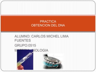 PRACTICA
        OBTENCION DEL DNA


ALUMNO: CARLOS MICHEL LIMA
FUENTES
GRUPO:0515
MATERIA: BIOLOGIA
 