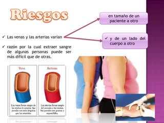  Las venas y las arterias varían
 razón por la cual extraer sangre
de algunas personas puede ser
más difícil que de otras.
en tamaño de un
paciente a otro
 y de un lado del
cuerpo a otro
 