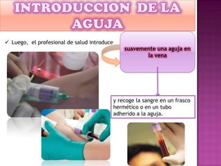  Luego, el profesional de salud introduce
suavemente una aguja en
la vena
y recoge la sangre en un frasco
hermético o en un tubo
adherido a la aguja.
 
