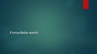 Extracellular matrix
 