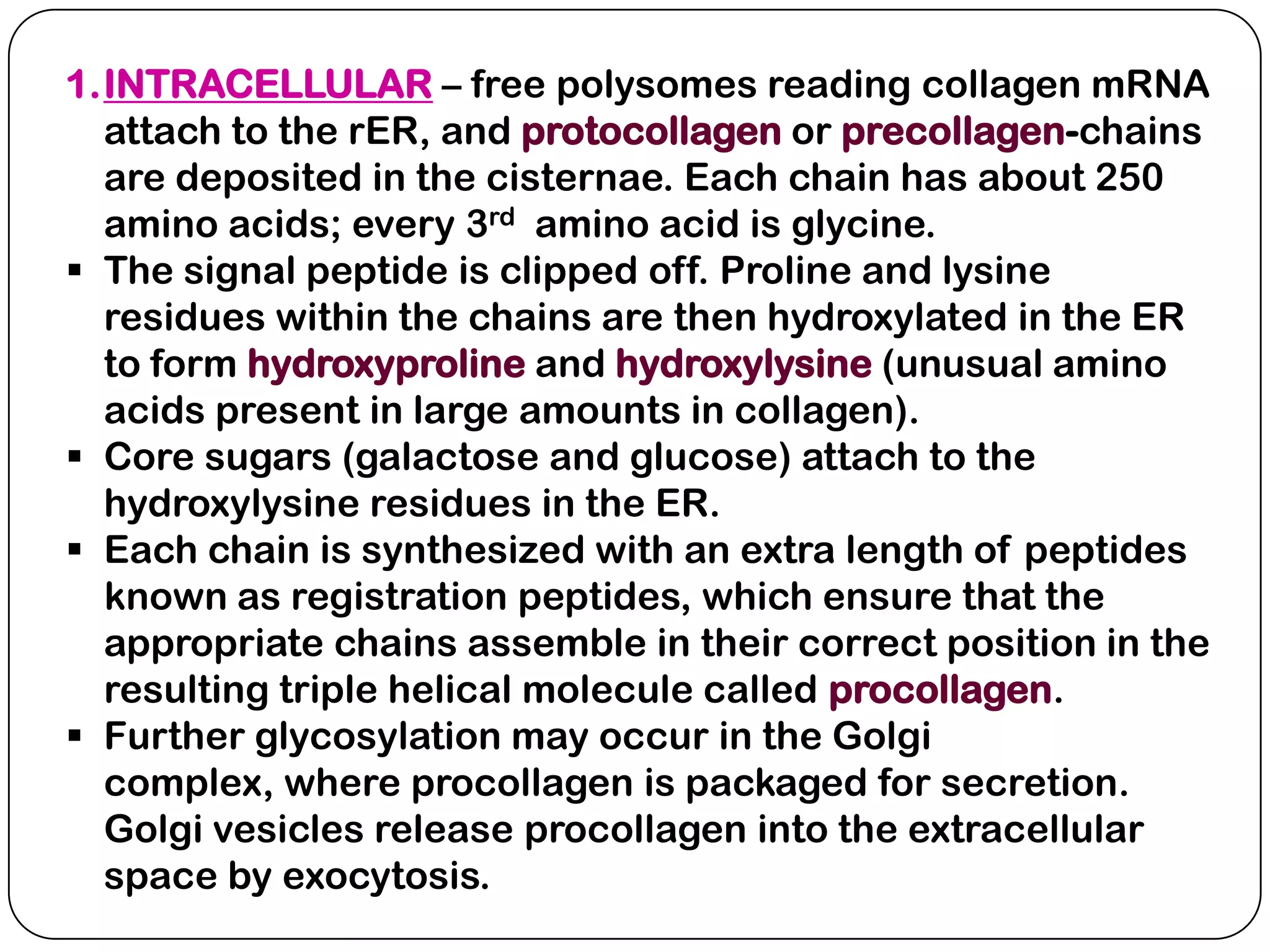 1.INTRACELLULAR – free polysomes reading collagen mRNA
  attach to the rER, and protocollagen or precollagen-chains
  are deposited in the cisternae. Each chain has about 250
  amino acids; every 3rd amino acid is glycine.
 The signal peptide is clipped off. Proline and lysine
  residues within the chains are then hydroxylated in the ER
  to form hydroxyproline and hydroxylysine (unusual amino
  acids present in large amounts in collagen).
 Core sugars (galactose and glucose) attach to the
  hydroxylysine residues in the ER.
 Each chain is synthesized with an extra length of peptides
  known as registration peptides, which ensure that the
  appropriate chains assemble in their correct position in the
  resulting triple helical molecule called procollagen.
 Further glycosylation may occur in the Golgi
  complex, where procollagen is packaged for secretion.
  Golgi vesicles release procollagen into the extracellular
  space by exocytosis.
 
