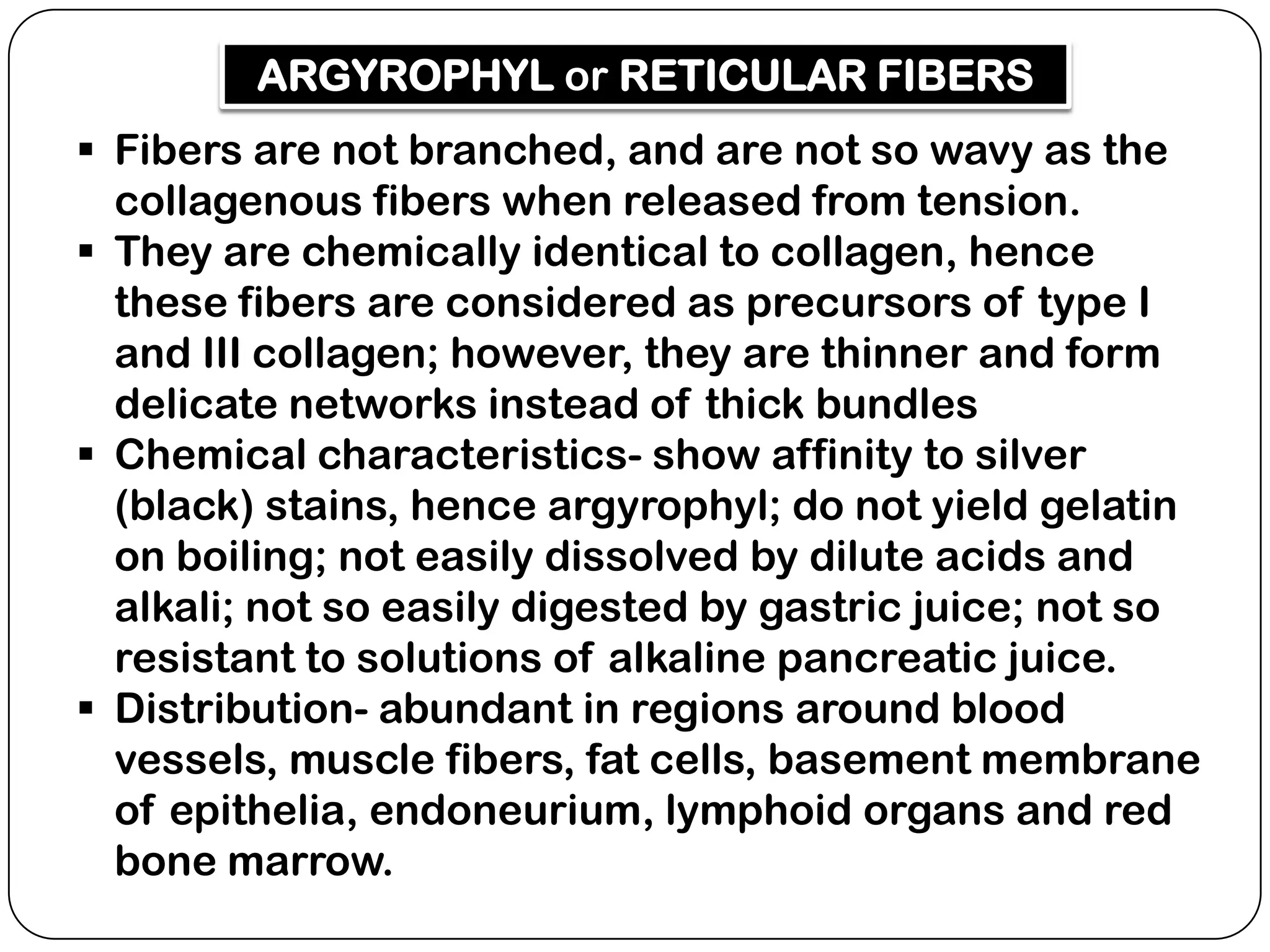 ARGYROPHYL or RETICULAR FIBERS
 Fibers are not branched, and are not so wavy as the
  collagenous fibers when released from tension.
 They are chemically identical to collagen, hence
  these fibers are considered as precursors of type I
  and III collagen; however, they are thinner and form
  delicate networks instead of thick bundles
 Chemical characteristics- show affinity to silver
  (black) stains, hence argyrophyl; do not yield gelatin
  on boiling; not easily dissolved by dilute acids and
  alkali; not so easily digested by gastric juice; not so
  resistant to solutions of alkaline pancreatic juice.
 Distribution- abundant in regions around blood
  vessels, muscle fibers, fat cells, basement membrane
  of epithelia, endoneurium, lymphoid organs and red
  bone marrow.
 