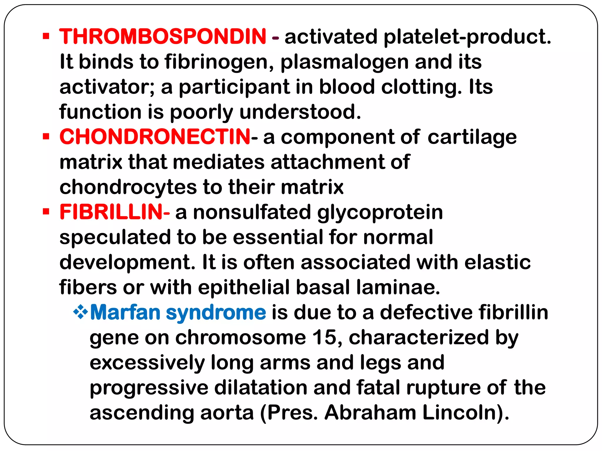  THROMBOSPONDIN - activated platelet-product.
  It binds to fibrinogen, plasmalogen and its
  activator; a participant in blood clotting. Its
  function is poorly understood.
 CHONDRONECTIN- a component of cartilage
  matrix that mediates attachment of
  chondrocytes to their matrix
 FIBRILLIN- a nonsulfated glycoprotein
  speculated to be essential for normal
  development. It is often associated with elastic
  fibers or with epithelial basal laminae.
    Marfan syndrome is due to a defective fibrillin
      gene on chromosome 15, characterized by
      excessively long arms and legs and
      progressive dilatation and fatal rupture of the
      ascending aorta (Pres. Abraham Lincoln).
 