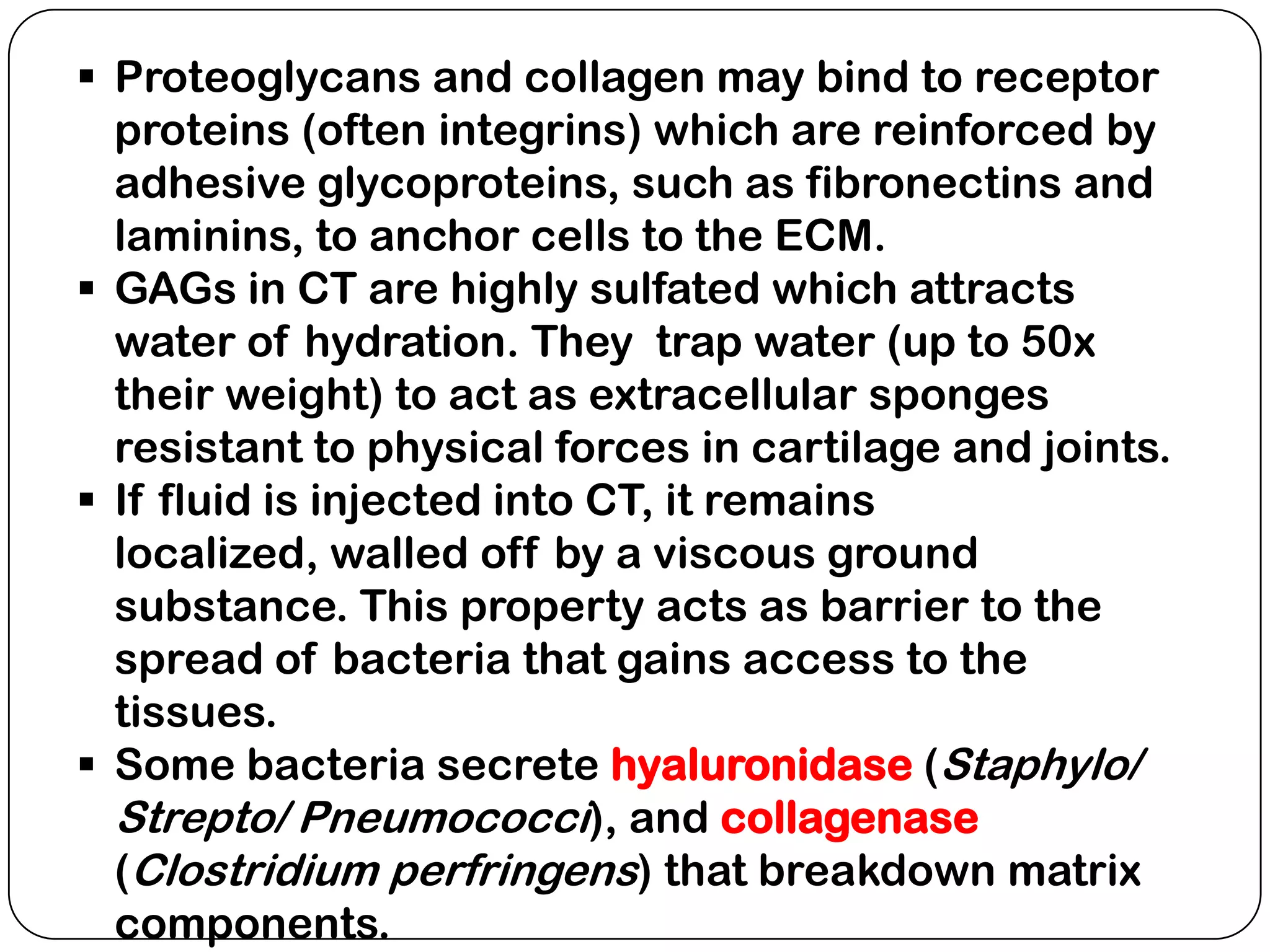  Proteoglycans and collagen may bind to receptor
  proteins (often integrins) which are reinforced by
  adhesive glycoproteins, such as fibronectins and
  laminins, to anchor cells to the ECM.
 GAGs in CT are highly sulfated which attracts
  water of hydration. They trap water (up to 50x
  their weight) to act as extracellular sponges
  resistant to physical forces in cartilage and joints.
 If fluid is injected into CT, it remains
  localized, walled off by a viscous ground
  substance. This property acts as barrier to the
  spread of bacteria that gains access to the
  tissues.
 Some bacteria secrete hyaluronidase (Staphylo/
  Strepto/ Pneumococci), and collagenase
  (Clostridium perfringens) that breakdown matrix
  components.
 