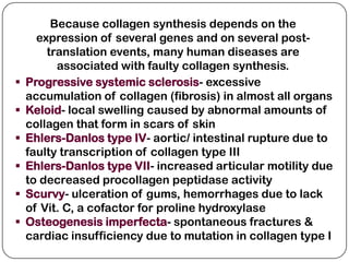 Because collagen synthesis depends on the
      expression of several genes and on several post-
        translation events, many human diseases are
          associated with faulty collagen synthesis.
   Progressive systemic sclerosis- excessive
    accumulation of collagen (fibrosis) in almost all organs
   Keloid- local swelling caused by abnormal amounts of
    collagen that form in scars of skin
   Ehlers-Danlos type IV- aortic/ intestinal rupture due to
    faulty transcription of collagen type III
   Ehlers-Danlos type VII- increased articular motility due
    to decreased procollagen peptidase activity
   Scurvy- ulceration of gums, hemorrhages due to lack
    of Vit. C, a cofactor for proline hydroxylase
   Osteogenesis imperfecta- spontaneous fractures &
    cardiac insufficiency due to mutation in collagen type I
 