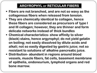 ARGYROPHYL or RETICULAR FIBERS
 Fibers are not branched, and are not so wavy as the
  collagenous fibers when released from tension.
 They are chemically identical to collagen, hence
  these fibers are considered as precursors of type I
  and III collagen; however, they are thinner and form
  delicate networks instead of thick bundles
 Chemical characteristics- show affinity to silver
  (black) stains, hence argyrophyl; do not yield gelatin
  on boiling; not easily dissolved by dilute acids and
  alkali; not so easily digested by gastric juice; not so
  resistant to solutions of alkaline pancreatic juice.
 Distribution- abundant in regions around blood
  vessels, muscle fibers, fat cells, basement membrane
  of epithelia, endoneurium, lymphoid organs and red
  bone marrow.
 