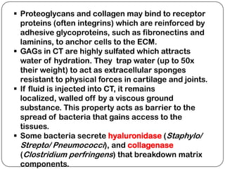  Proteoglycans and collagen may bind to receptor
  proteins (often integrins) which are reinforced by
  adhesive glycoproteins, such as fibronectins and
  laminins, to anchor cells to the ECM.
 GAGs in CT are highly sulfated which attracts
  water of hydration. They trap water (up to 50x
  their weight) to act as extracellular sponges
  resistant to physical forces in cartilage and joints.
 If fluid is injected into CT, it remains
  localized, walled off by a viscous ground
  substance. This property acts as barrier to the
  spread of bacteria that gains access to the
  tissues.
 Some bacteria secrete hyaluronidase (Staphylo/
  Strepto/ Pneumococci), and collagenase
  (Clostridium perfringens) that breakdown matrix
  components.
 
