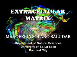 EXTRACELLULAR
   MATRIX



 Department of Natural Sciences
    University of St. La Salle
         Bacolod City
 