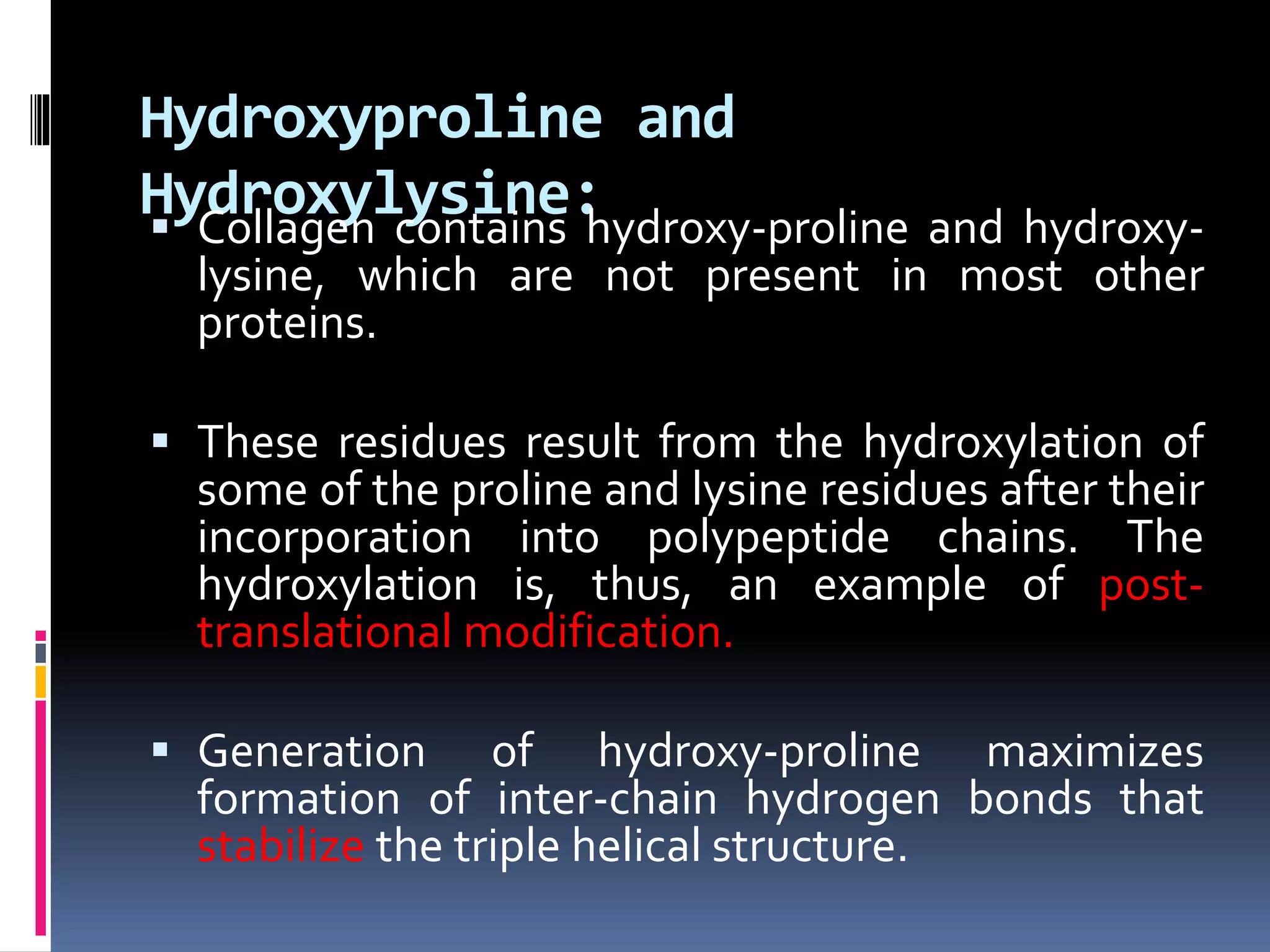 Hydroxyproline and
Hydroxylysine: Collagen contains hydroxy-proline and hydroxy-
lysine, which are not present in most other
proteins.
 These residues result from the hydroxylation of
some of the proline and lysine residues after their
incorporation into polypeptide chains. The
hydroxylation is, thus, an example of post-
translational modification.
 Generation of hydroxy-proline maximizes
formation of inter-chain hydrogen bonds that
stabilize the triple helical structure.
 