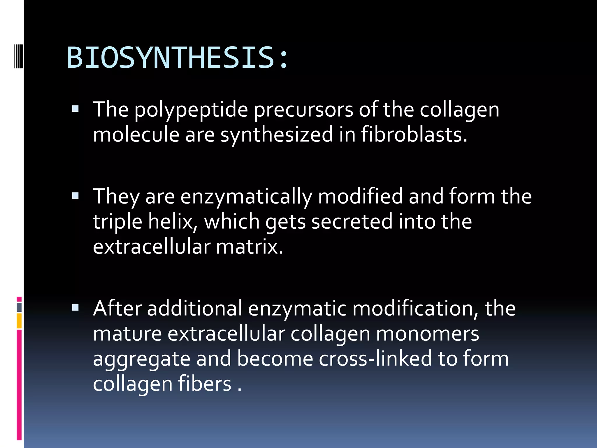 BIOSYNTHESIS:
 The polypeptide precursors of the collagen
molecule are synthesized in fibroblasts.
 They are enzymatically modified and form the
triple helix, which gets secreted into the
extracellular matrix.
 After additional enzymatic modification, the
mature extracellular collagen monomers
aggregate and become cross-linked to form
collagen fibers .
 