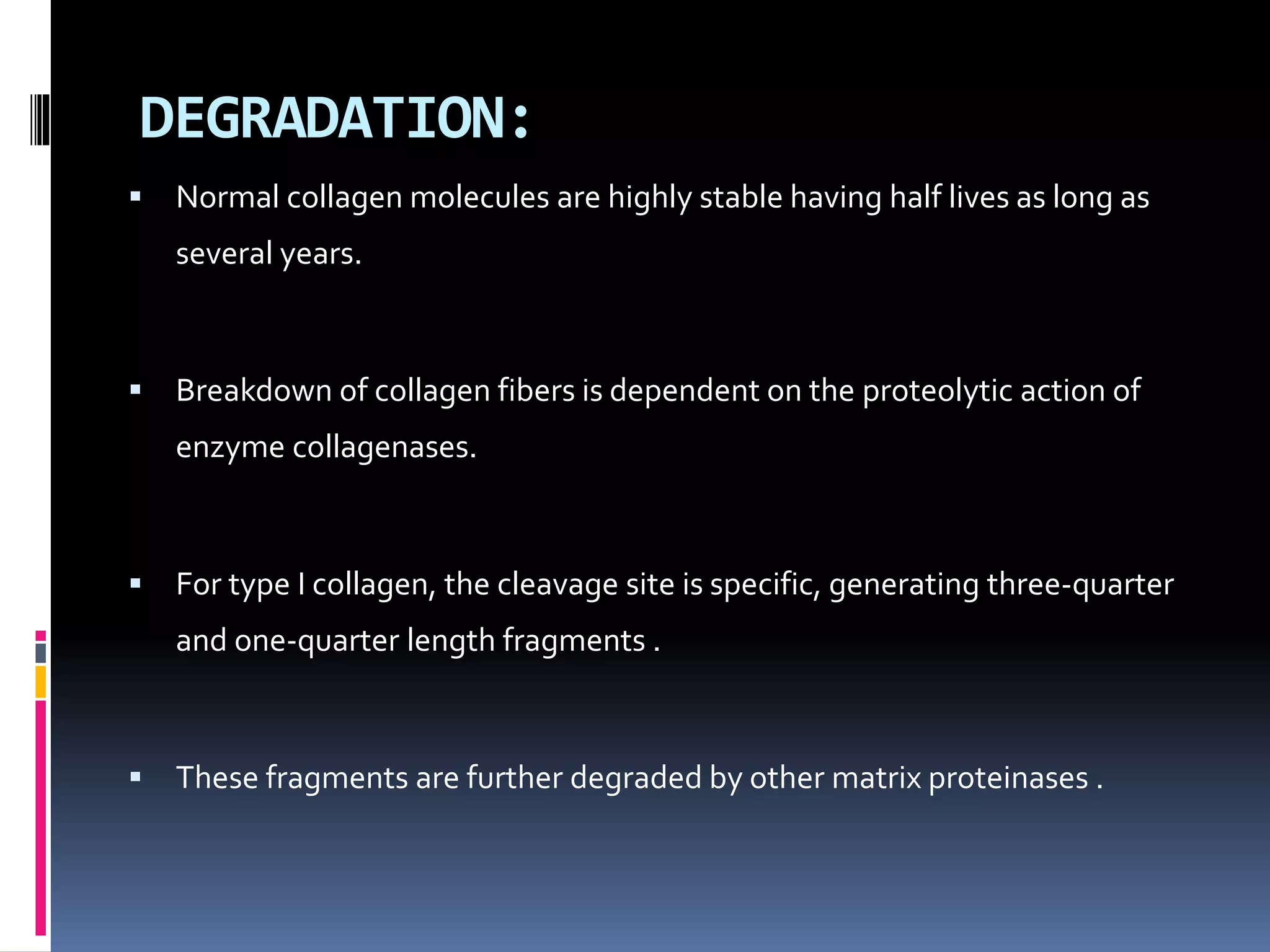 DEGRADATION:
 Normal collagen molecules are highly stable having half lives as long as
several years.
 Breakdown of collagen fibers is dependent on the proteolytic action of
enzyme collagenases.
 For type I collagen, the cleavage site is specific, generating three-quarter
and one-quarter length fragments .
 These fragments are further degraded by other matrix proteinases .
 