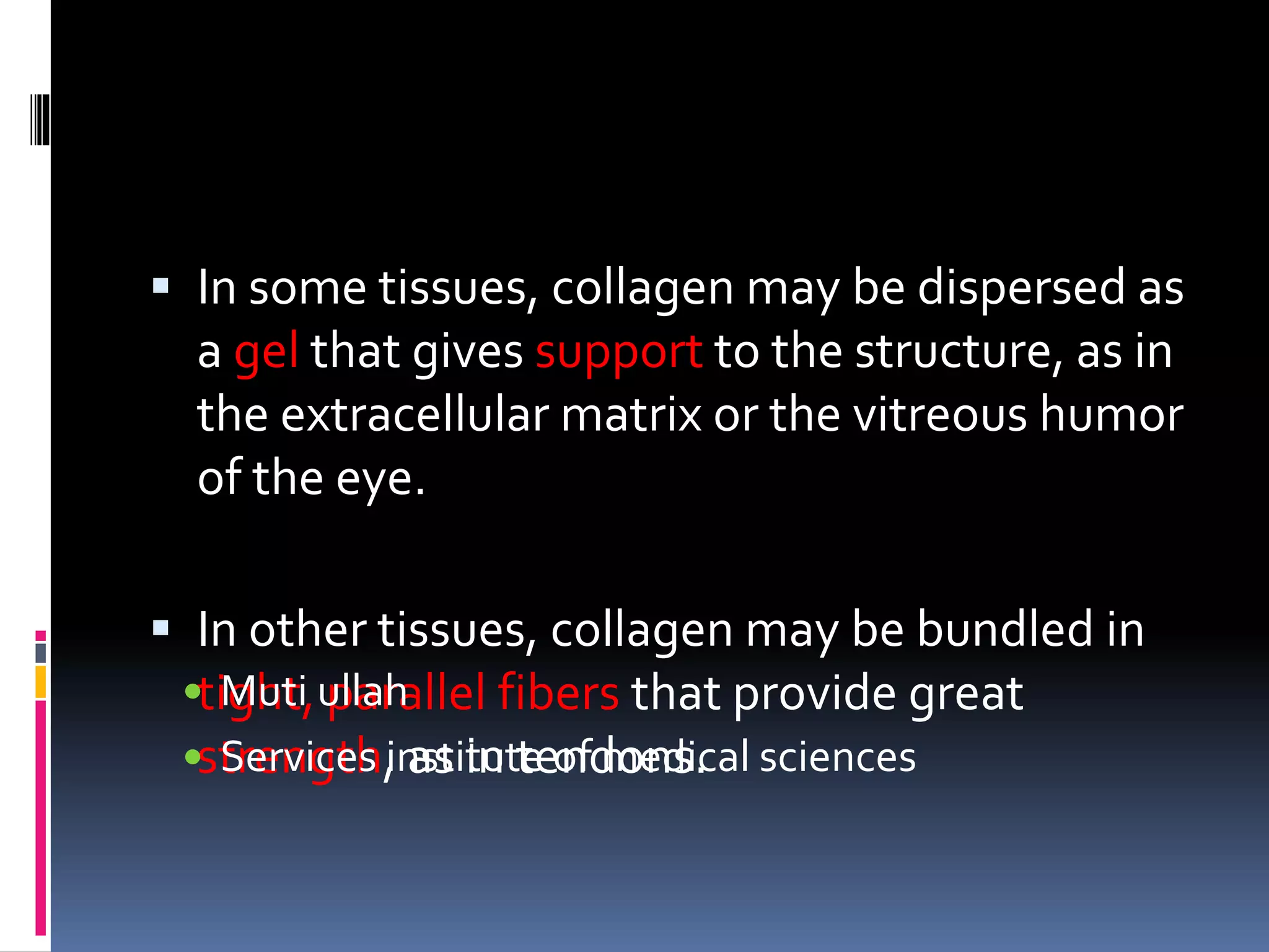  In some tissues, collagen may be dispersed as
a gel that gives support to the structure, as in
the extracellular matrix or the vitreous humor
of the eye.
 In other tissues, collagen may be bundled in
tight, parallel fibers that provide great
strength, as in tendons.
 Muti ullah
 Services institute of medical sciences
 