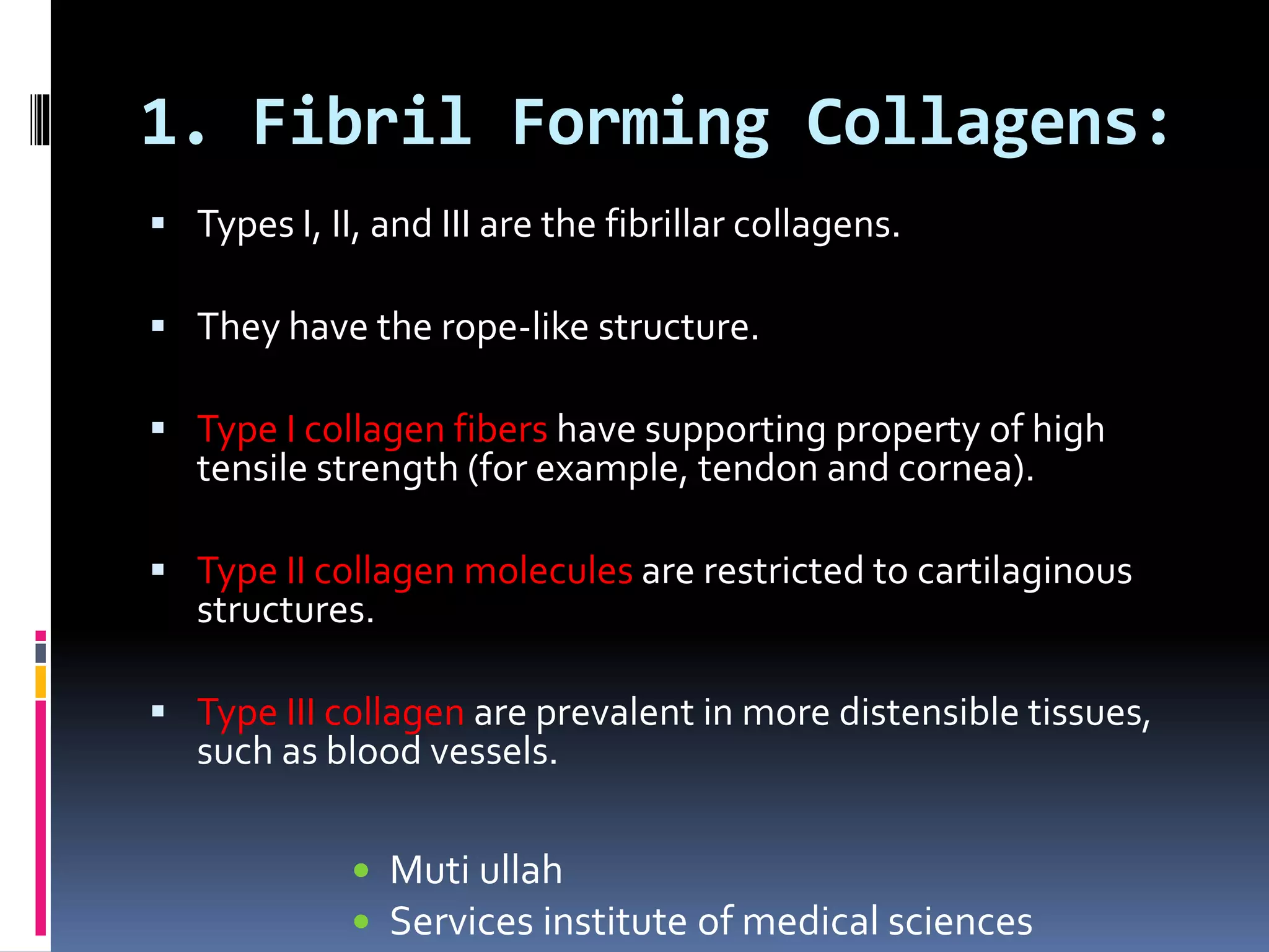 1. Fibril Forming Collagens:
 Types I, II, and III are the fibrillar collagens.
 They have the rope-like structure.
 Type I collagen fibers have supporting property of high
tensile strength (for example, tendon and cornea).
 Type II collagen molecules are restricted to cartilaginous
structures.
 Type III collagen are prevalent in more distensible tissues,
such as blood vessels.
 Muti ullah
 Services institute of medical sciences
 