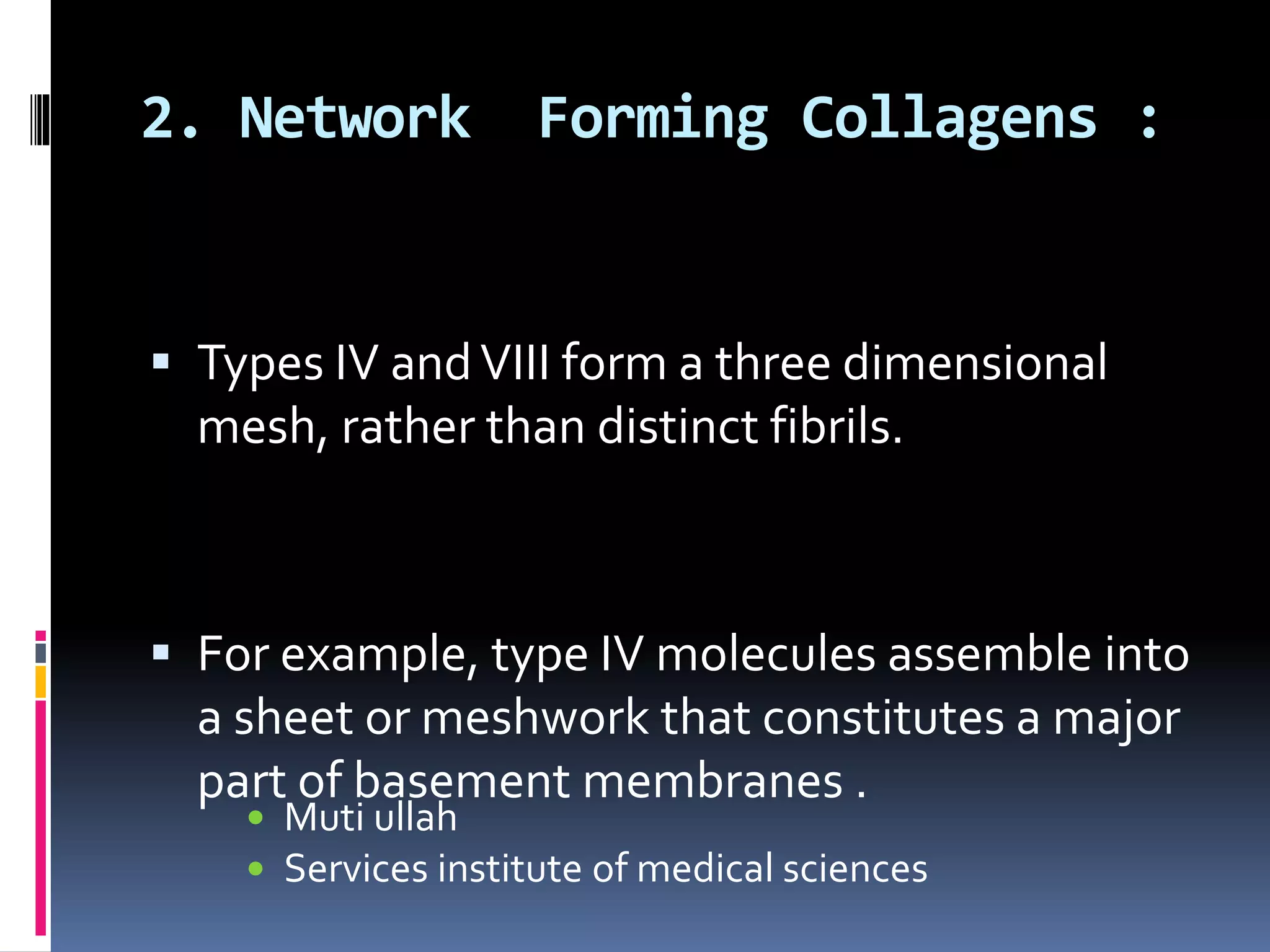 2. Network Forming Collagens :
 Types IV andVIII form a three dimensional
mesh, rather than distinct fibrils.
 For example, type IV molecules assemble into
a sheet or meshwork that constitutes a major
part of basement membranes .
 Muti ullah
 Services institute of medical sciences
 