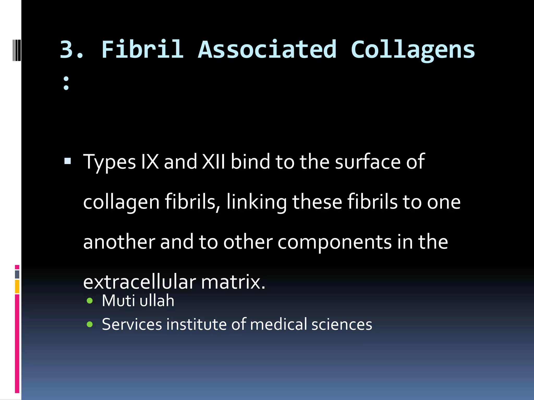 3. Fibril Associated Collagens
:
 Types IX and XII bind to the surface of
collagen fibrils, linking these fibrils to one
another and to other components in the
extracellular matrix.
 Muti ullah
 Services institute of medical sciences
 