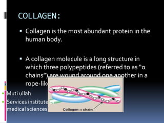 Extracellular matrix and GAGS | PPTX