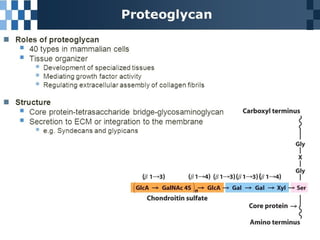 Extracellular matrix
