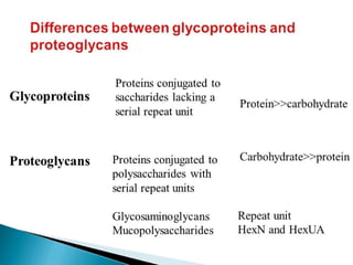 Extracellular matrix