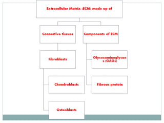 Extracellular matrix