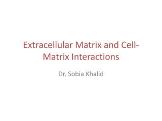 Extracellular Matrix and Cell-
Matrix Interactions
Dr. Sobia Khalid
 
