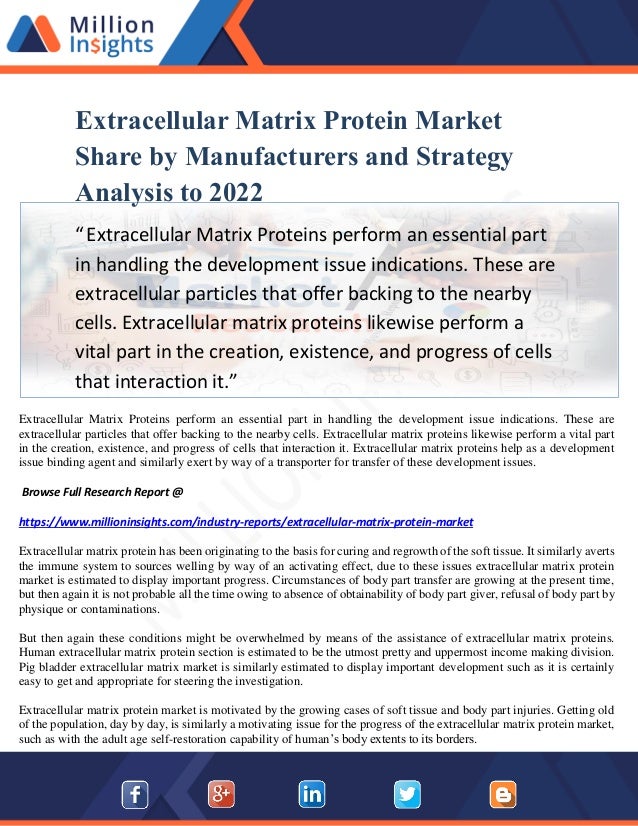 Extracellular matrix in development