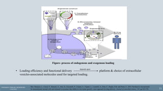Extracellular vesicles as drug delivery systems.pptx