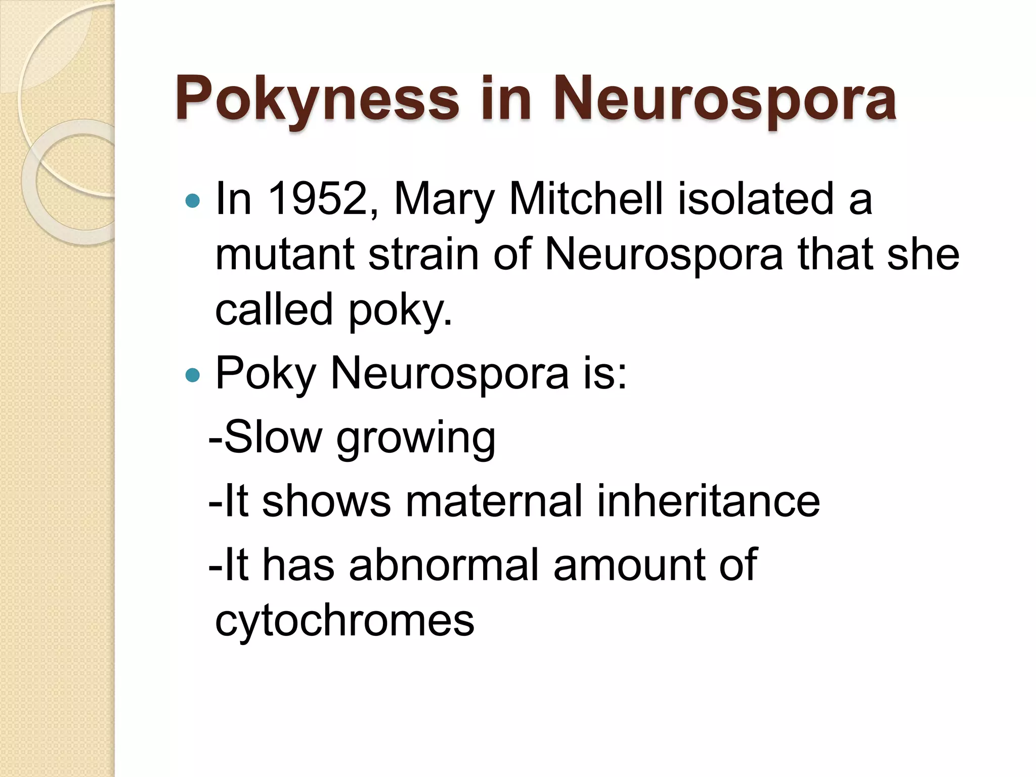 Pokyness in Neurospora
 In 1952, Mary Mitchell isolated a
mutant strain of Neurospora that she
called poky.
 Poky Neurospora is:
-Slow growing
-It shows maternal inheritance
-It has abnormal amount of
cytochromes
 