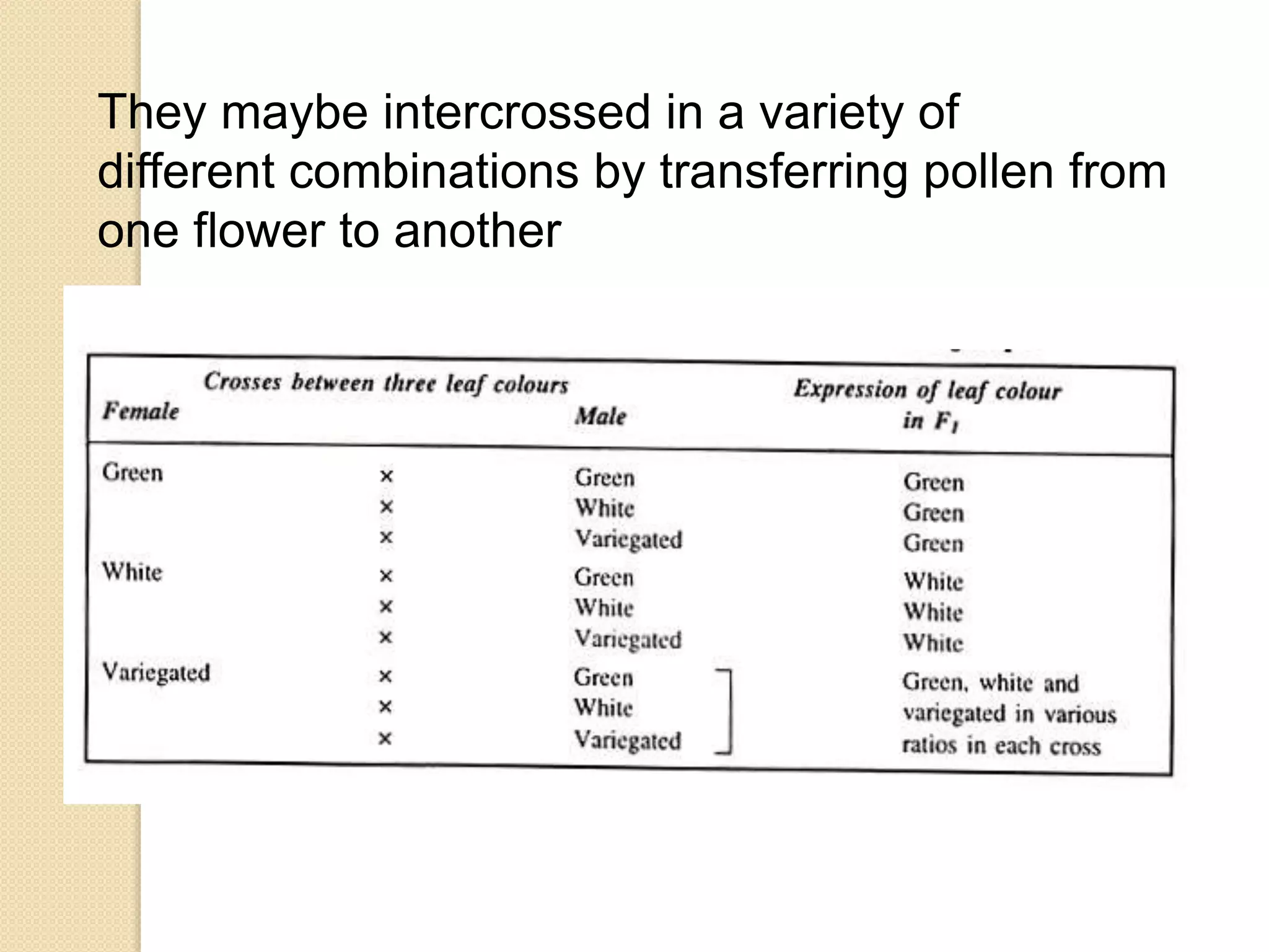 They maybe intercrossed in a variety of
different combinations by transferring pollen from
one flower to another
 