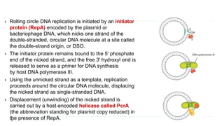  Rolling circle DNA replication is initiated by an initiator
protein (RepA) encoded by the plasmid or
bacteriophage DNA, which nicks one strand of the
double-stranded, circular DNA molecule at a site called
the double-strand origin, or DSO.
 The initiator protein remains bound to the 5' phosphate
end of the nicked strand, and the free 3' hydroxyl end is
released to serve as a primer for DNA synthesis
by host DNA polymerase III.
 Using the unnicked strand as a template, replication
proceeds around the circular DNA molecule, displacing
the nicked strand as single-stranded DNA.
 Displacement (unwinding) of the nicked strand is
carried out by a host-encoded helicase called PcrA
(the abbreviation standing for plasmid copy reduced) in
the presence of RepA.
 