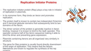 Replication Initiator Proteins
• The replication initiator protein (Rep) plays a key role in initiation
of replication in plasmids.
• In its monomer form, Rep binds an iteron and promotes
replication.
• The protein itself is known to contain two independent N-terminal
and C-terminal globular domains that subsequently bind to two
domains of the iteron.
• The dimer version of the protein is generally inactive in iteron
binding, however it is known to bind to the repE operator. This
operator contains half of the iteron sequence making it able to
bind the dimer and preventing gene expression.
• Plasmids containing iterons are all organized very similarly in
structure.
• The gene for Rep proteins is usually found directly downstream
of the origin of replication. This means that the iterons
themselves are known to regulate the synthesis of the rep
 