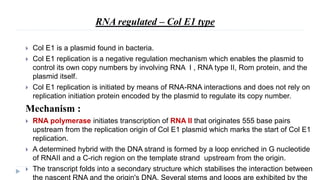 RNA regulated – Col E1 type
 Col E1 is a plasmid found in bacteria.
 Col E1 replication is a negative regulation mechanism which enables the plasmid to
control its own copy numbers by involving RNA I , RNA type II, Rom protein, and the
plasmid itself.
 Col E1 replication is initiated by means of RNA-RNA interactions and does not rely on
replication initiation protein encoded by the plasmid to regulate its copy number.
Mechanism :
 RNA polymerase initiates transcription of RNA II that originates 555 base pairs
upstream from the replication origin of Col E1 plasmid which marks the start of Col E1
replication.
 A determined hybrid with the DNA strand is formed by a loop enriched in G nucleotide
of RNAII and a C-rich region on the template strand upstream from the origin.
 The transcript folds into a secondary structure which stabilises the interaction between
the nascent RNA and the origin's DNA. Several stems and loops are exhibited by the
 