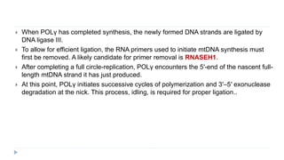  When POLγ has completed synthesis, the newly formed DNA strands are ligated by
DNA ligase III.
 To allow for efficient ligation, the RNA primers used to initiate mtDNA synthesis must
first be removed. A likely candidate for primer removal is RNASEH1.
 After completing a full circle-replication, POLγ encounters the 5′-end of the nascent full-
length mtDNA strand it has just produced.
 At this point, POLγ initiates successive cycles of polymerization and 3′–5′ exonuclease
degradation at the nick. This process, idling, is required for proper ligation..
 