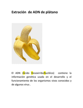 Extración de ADN de plátano




El ADN (Ácido DesoxirriboNucléico) contiene la
información genética usada en el desarrollo y el
funcionamiento de los organismos vivos conocidos y
de algunos virus .
 
