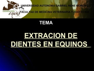 EXTRACION DE
DIENTES EN EQUINOS
TEMATEMA
UNIVERSIDAD AUTONOMA GABRIEL RENE MORENO
FACULTAD DE MEDICINA VETERINARIA Y ZOOTECNIA
 