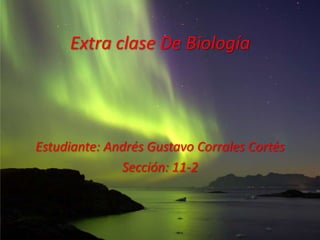 Extra clase De Biología




Estudiante: Andrés Gustavo Corrales Cortés
              Sección: 11-2
 