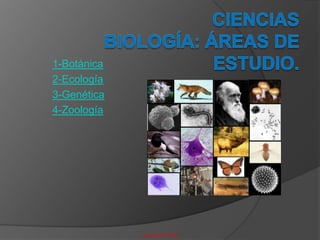 1-Botánica
2-Ecología
3-Genética
4-Zoología




             Hugo Mora Fallas
 