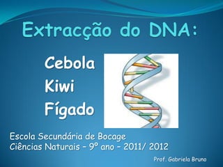Cebola
        Kiwi
        Fígado
Escola Secundária de Bocage
Ciências Naturais – 9º ano – 2011/ 2012
                                   Prof. Gabriela Bruno
 