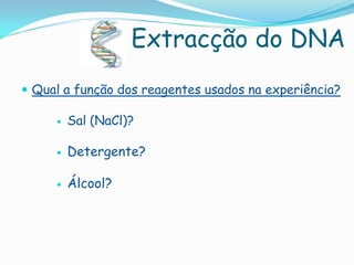 Extracção do DNA
 Qual a função dos reagentes usados na experiência?

        Sal (NaCl)?

        Detergente?

        Álcool?
 