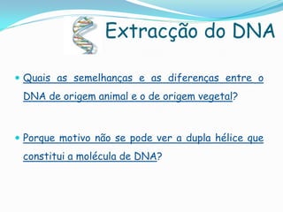 Extracção do DNA

 Quais as semelhanças e as diferenças entre o
 DNA de origem animal e o de origem vegetal?



 Porque motivo não se pode ver a dupla hélice que
 constitui a molécula de DNA?
 