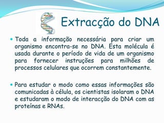Extracção do DNA
 Toda a informação necessária para criar um
 organismo encontra-se no DNA. Esta molécula é
 usada durante o período de vida de um organismo
 para fornecer instruções para milhões de
 processos celulares que ocorrem constantemente.

 Para estudar o modo como essas informações são
 comunicadas à célula, os cientistas isolaram o DNA
 e estudaram o modo de interacção do DNA com as
 proteínas e RNAs.
 