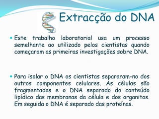 Extracção do DNA
 Este trabalho laboratorial usa um processo
 semelhante ao utilizado pelos cientistas quando
 começaram as primeiras investigações sobre DNA.



 Para isolar o DNA os cientistas separaram-no dos
 outros componentes celulares. As células são
 fragmentadas e o DNA separado do conteúdo
 lipídico das membranas da célula e dos organitos.
 Em seguida o DNA é separado das proteínas.
 