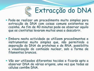Extracção do DNA
 Pode-se realizar um procedimento muito simples para
 extracção de DNA com coisas comuns existentes na
 cozinha. Ao fim de 40 minutos pode-se observar aquilo
 que os cientistas levaram muitos anos a descobrir.

 Embora nesta actividade se utilizem procedimentos e
 instrumentos muito simples que, não permitindo a
 separação do DNA de proteínas e de RNA, possibilita
 a visualização do conteúdo nuclear, sob a forma de
 filamentos brancos.

 Vão ser utilizados diferentes tecidos e ficarás apto a
 observar DNA de várias origens, uma vez que todas as
 células contêm DNA.
 