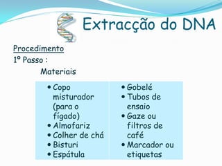 Extracção do DNA
Procedimento
1º Passo :
       Materiais
         Copo             Gobelé
          misturador       Tubos de
          (para o           ensaio
          fígado)          Gaze ou
         Almofariz         filtros de
         Colher de chá     café
         Bisturi          Marcador ou
         Espátula          etiquetas
 