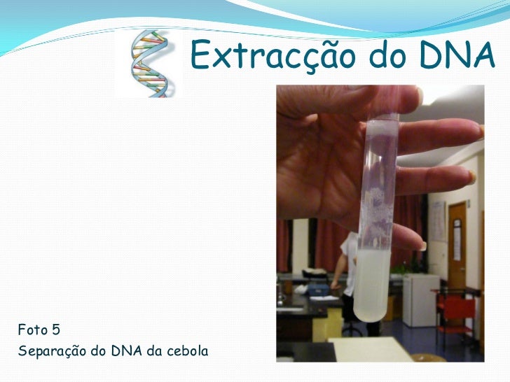 slideshare